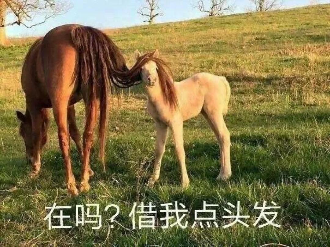 6款常见假发片测评！半永久美女真是太辛苦了！