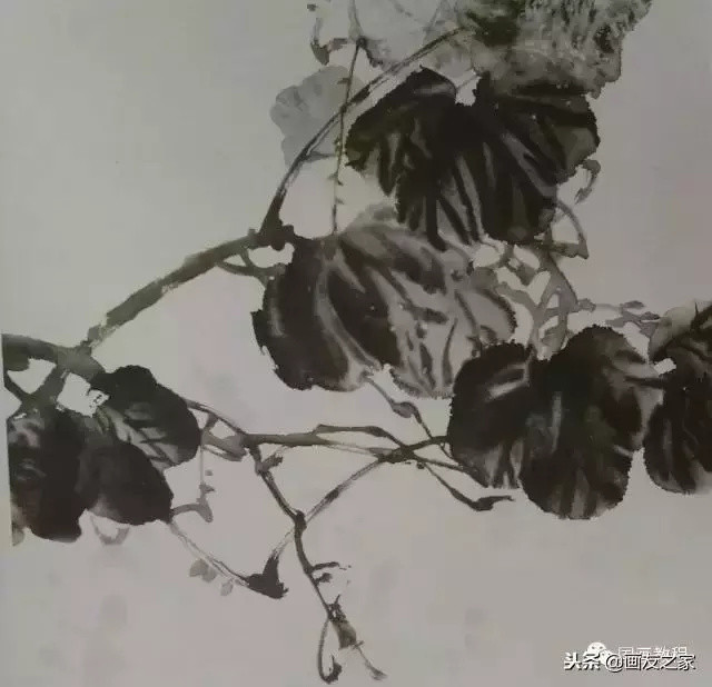 图文教程丨关于不同花鸟的画法