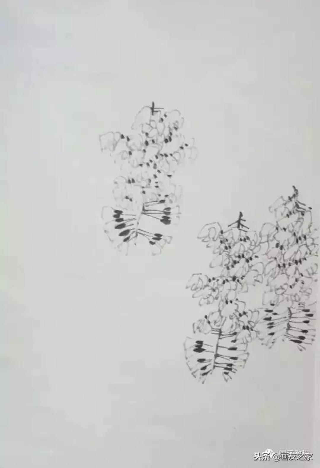 图文教程丨关于不同花鸟的画法