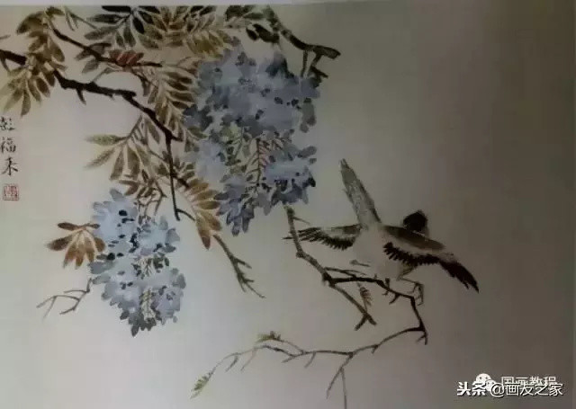 图文教程丨关于不同花鸟的画法