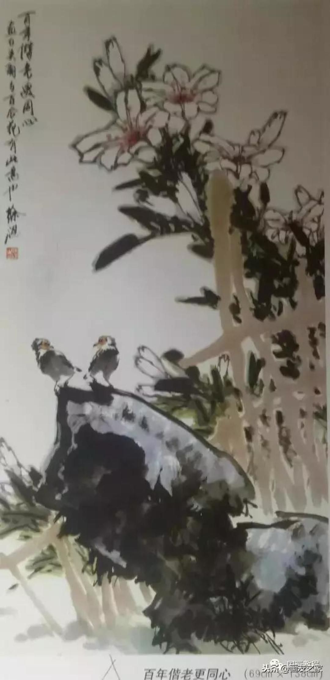 图文教程丨关于不同花鸟的画法