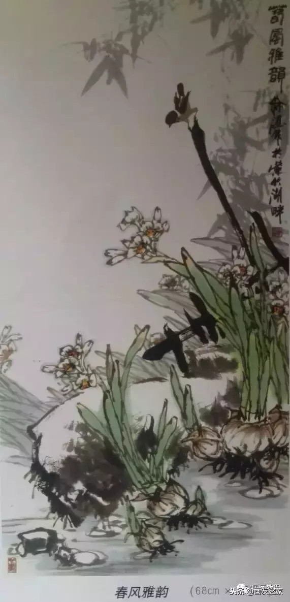 图文教程丨关于不同花鸟的画法