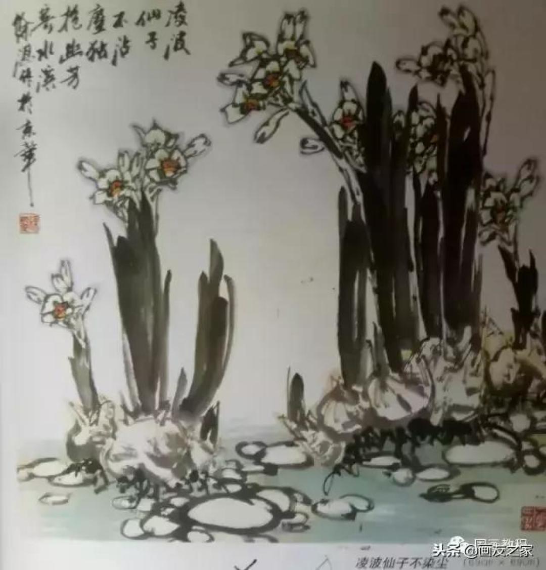 图文教程丨关于不同花鸟的画法