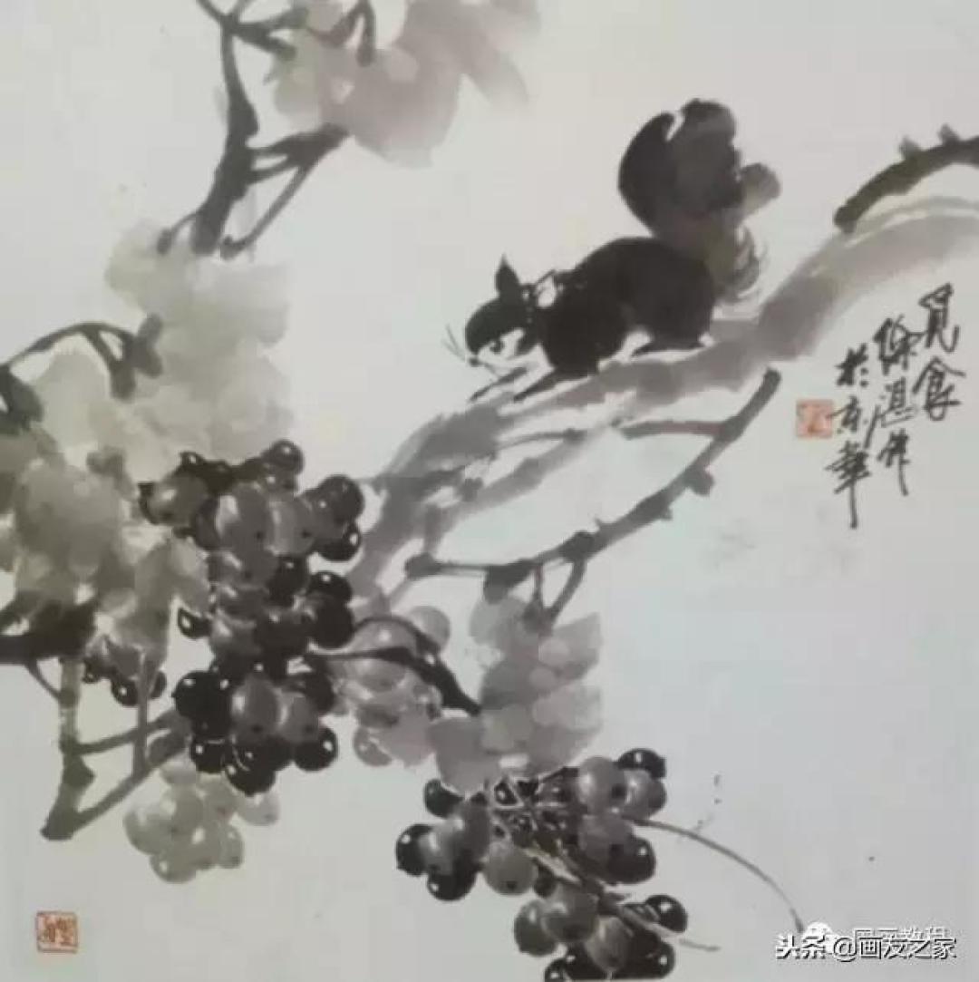 图文教程丨关于不同花鸟的画法