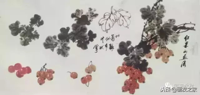 图文教程丨关于不同花鸟的画法