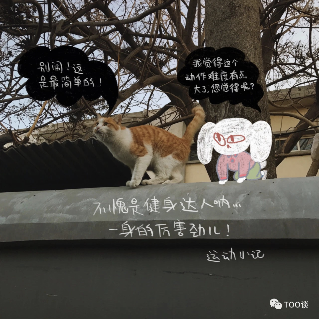 夫妻集体辞职,住在二环28㎡的胡同平房,专心画兔子