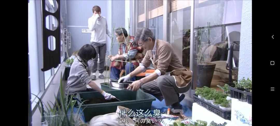 豆瓣8.8,这部日剧演出了我心中最理想的生活!
