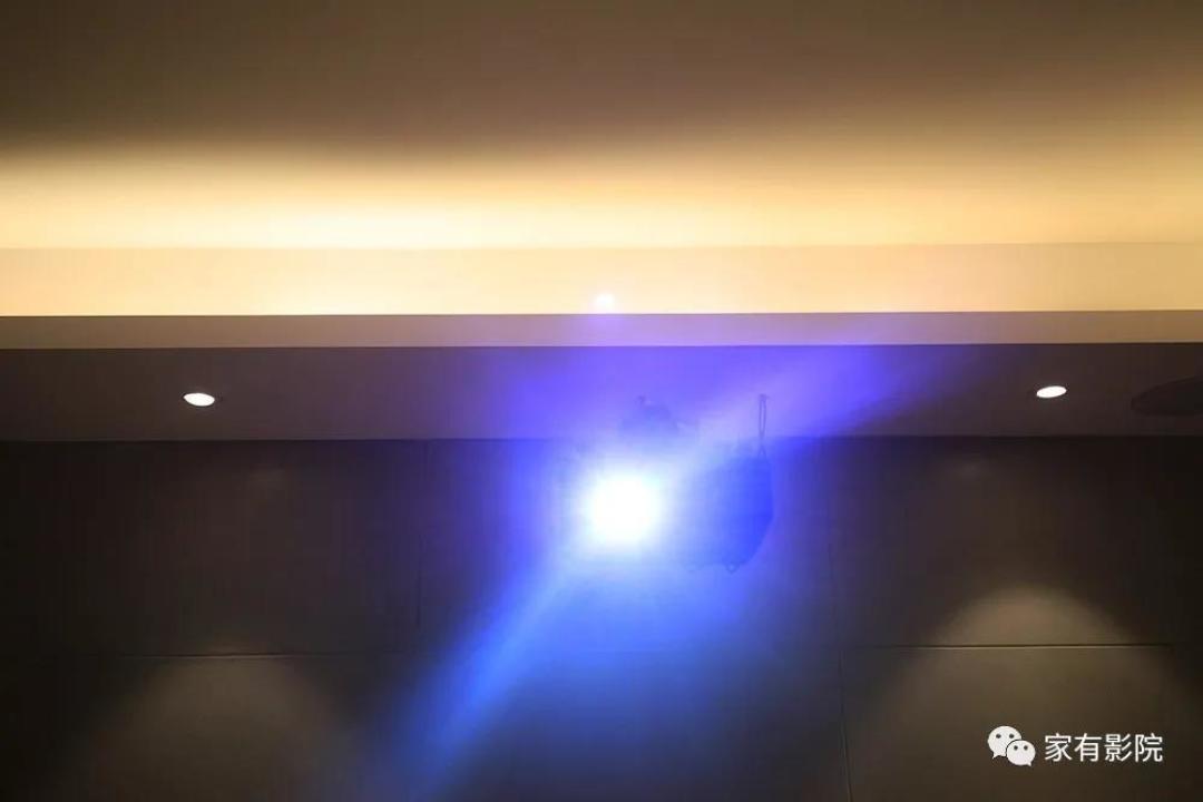 玩街机的男孩把家庭影院建在了酒吧中!再弄个大花园养上两只猫