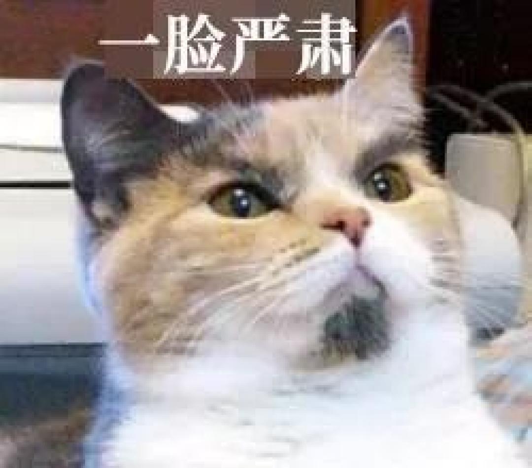 我们不做“秃星人”，但一切都要从“头”说做起......