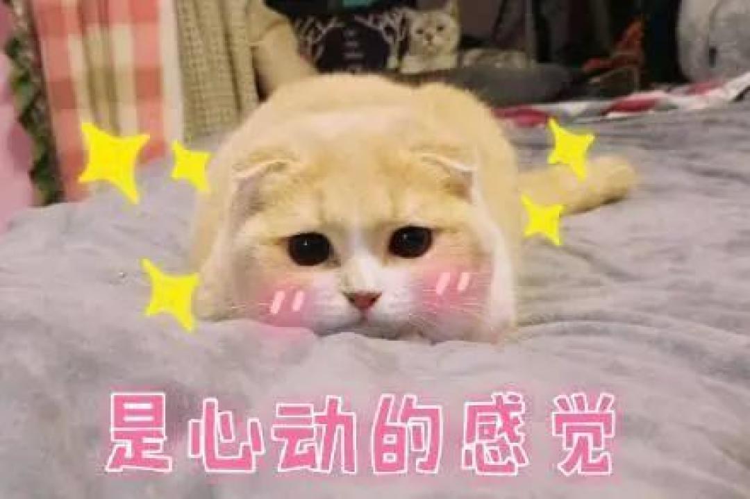 拥有IU同款牛奶肌,连韬韬也向你们敬礼!salute!