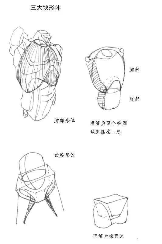 画不好人物速写？最全基本知识及画法总结，帮你快速入门！