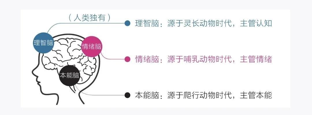 这本书的干货实在太足了