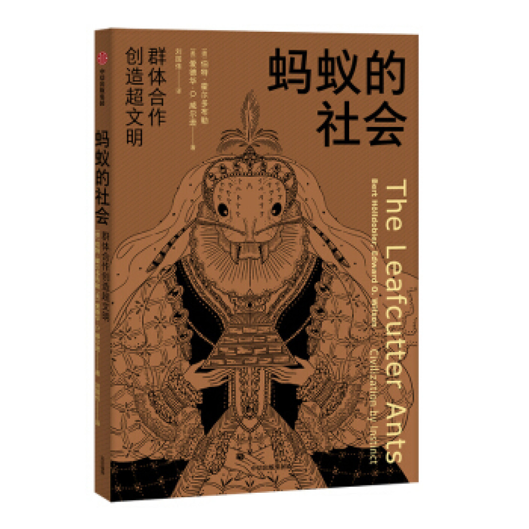 图书馆猿の2020读书计划87:《蚂蚁的社会》