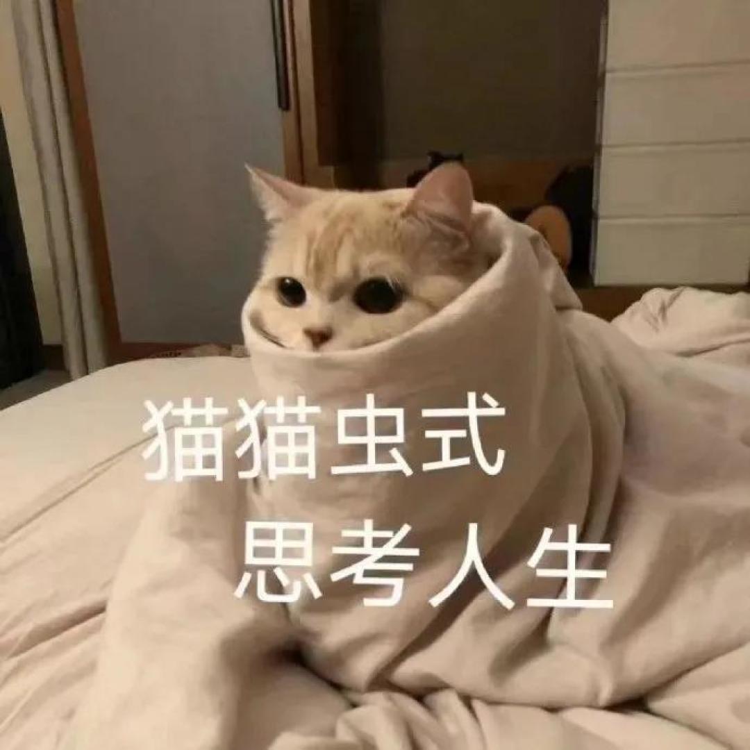 中韩《太子妃升职记》大PK,她比张天爱差在哪里?