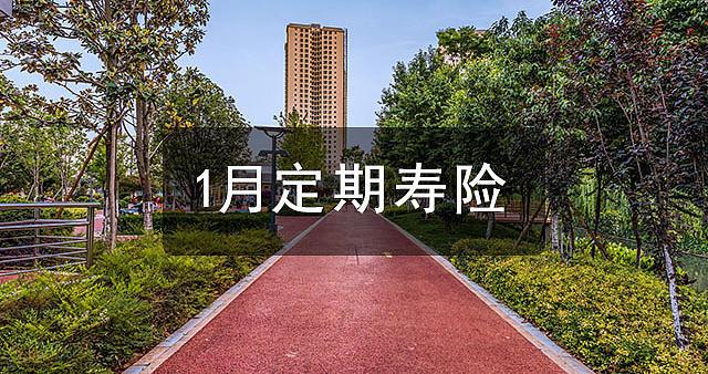 坤鹏论保：2021年1月最值得推荐的定期寿险