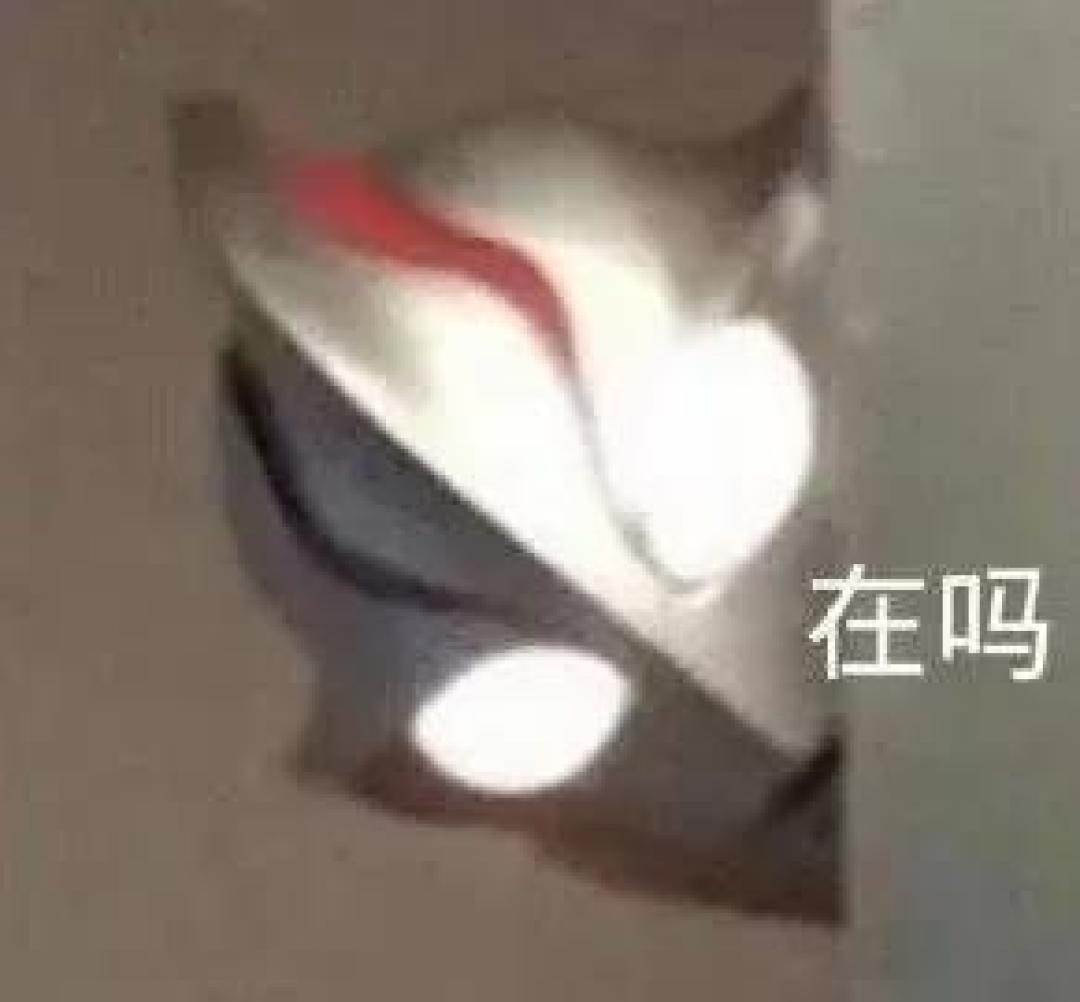 大赏榜单|30款年度新品重磅登场,再不看就真的断货了!