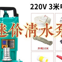 居家维修厮 篇十一：迷你抽水机/潜水泵220V水泵家用抽水小型抽水泵污水泵灌溉抽粪不锈钢