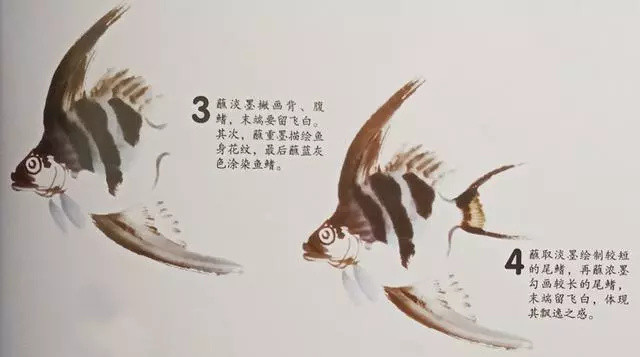 千姿百态画鱼虾 国画教程画法步骤！