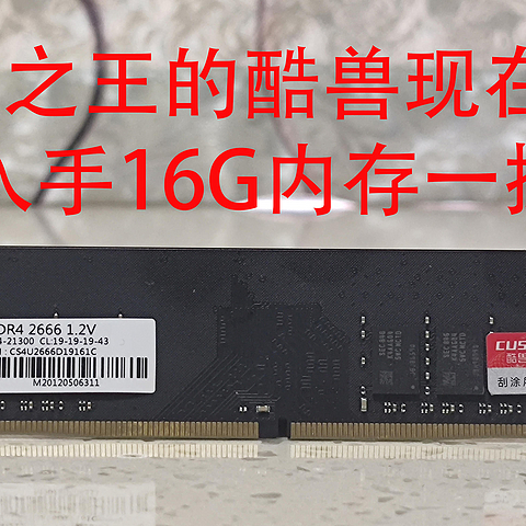 205入手16G内存!性价比之王的酷兽现在如何？