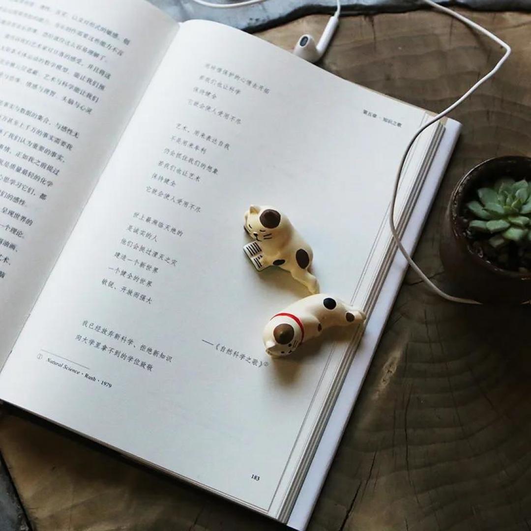 为什么我们在伤心的时候想听慢歌?这本书可以给你答案