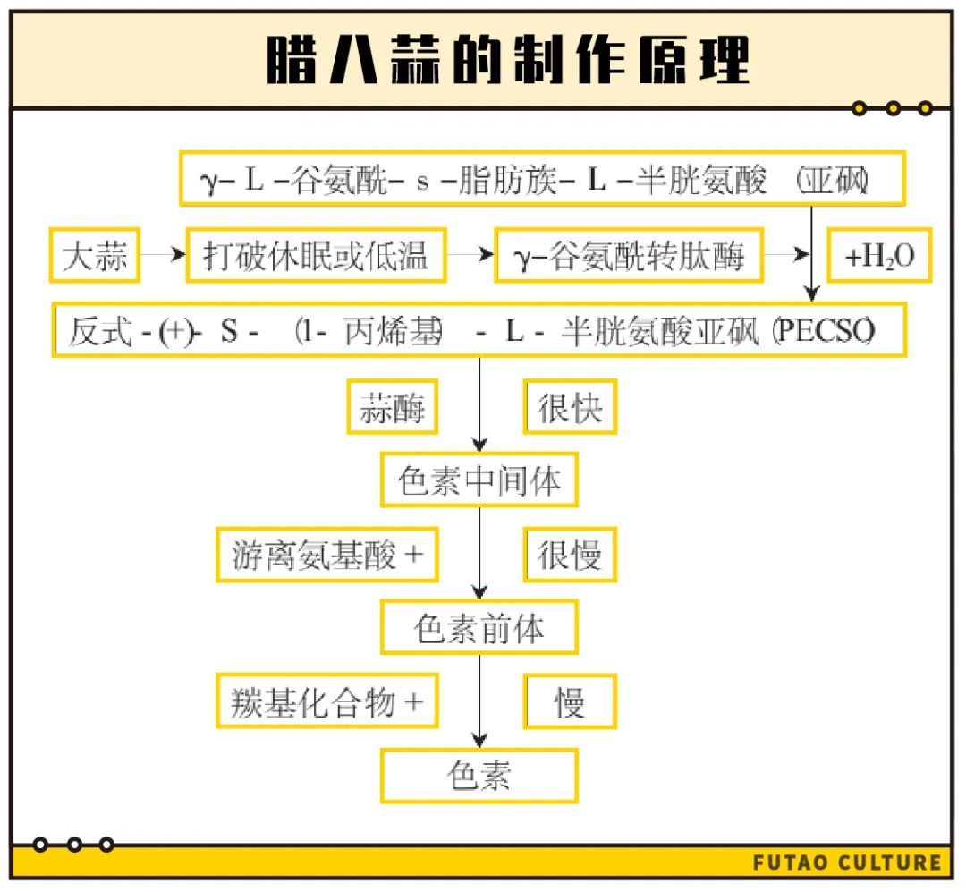 腊八蒜就非得腊八泡吗？