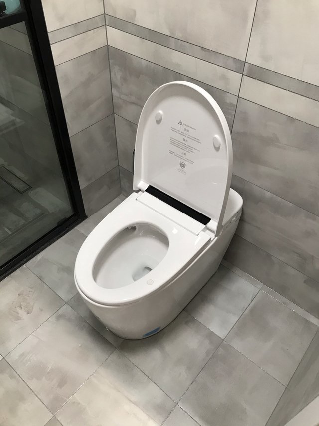 物超所值的智能马桶