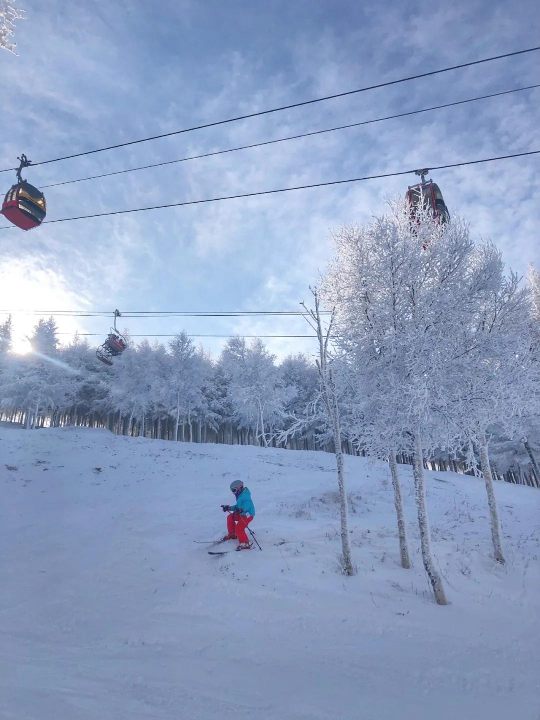 生娃57天上雪场，我带孩子全球滑雪8年的心得