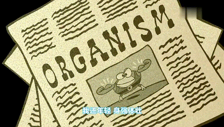 三部全家都上头的硬核科普动画,假期宅家也不怕~