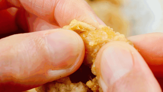 10道年夜饭“硬菜”大合集,站内烹饪达人亲传,让你的年夜饭牛起来!