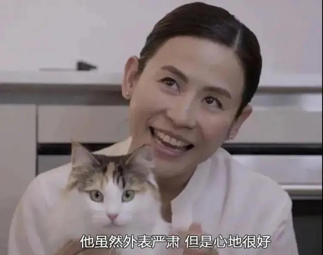 又恰情怀饭！陀枪师姐变“中年傻白甜”