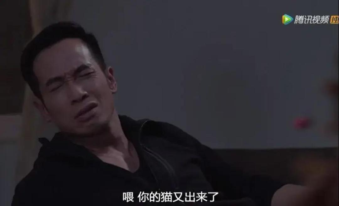 又恰情怀饭！陀枪师姐变“中年傻白甜”