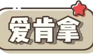 爱肯拿检测报告出炉！哈？虚标？？？