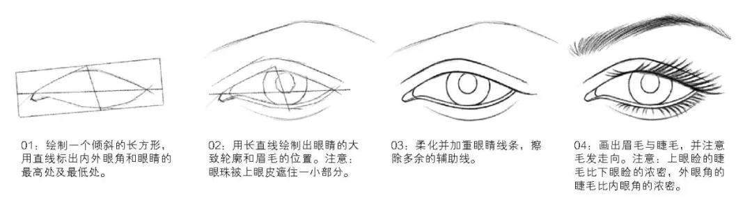 学好时装画设计的第一步,从掌握人体绘制开始