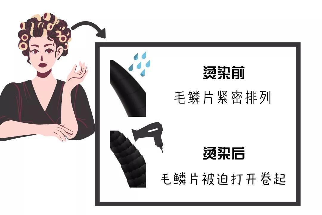 头发能有什么坏心思呢？它不过是想离开你自由飞翔...