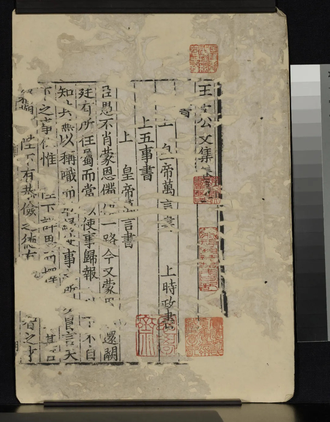 上博公布年度展览计划，联合近20家博物馆呈现7场大展