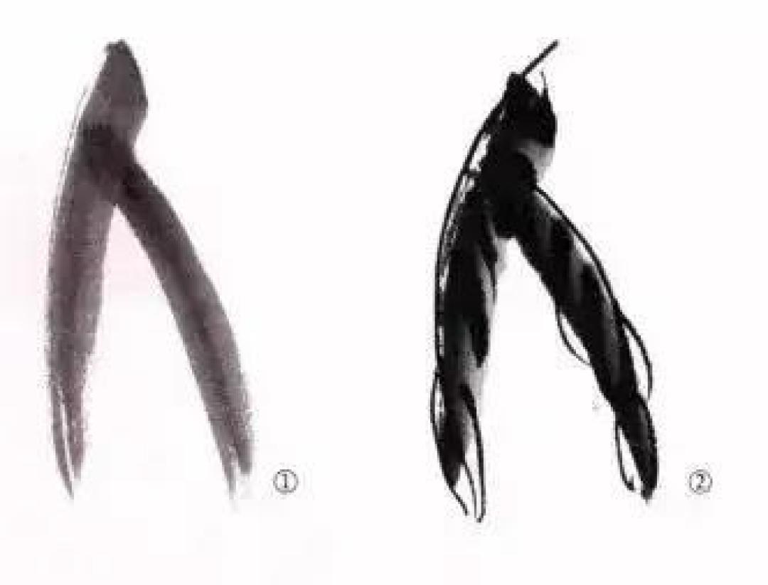 画国画桃子的步骤你学会了吗?