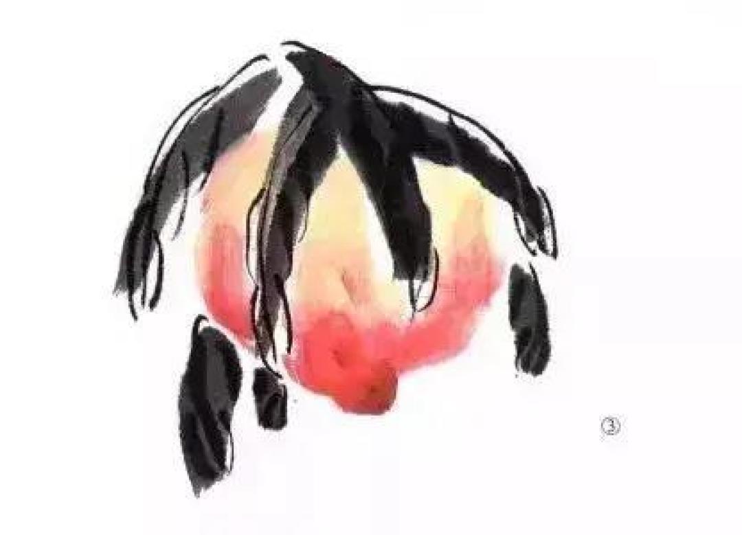 画国画桃子的步骤你学会了吗?