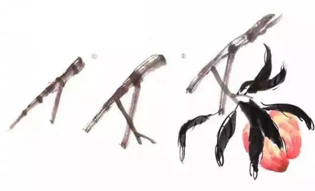 画国画桃子的步骤你学会了吗?