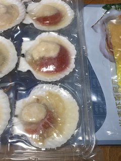 大大大扇贝，自己加戏！