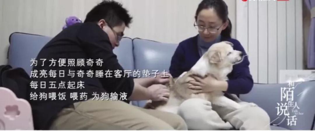 9.6分神剧,刷爆B站!我才看了1集,就不可救药地上头了…