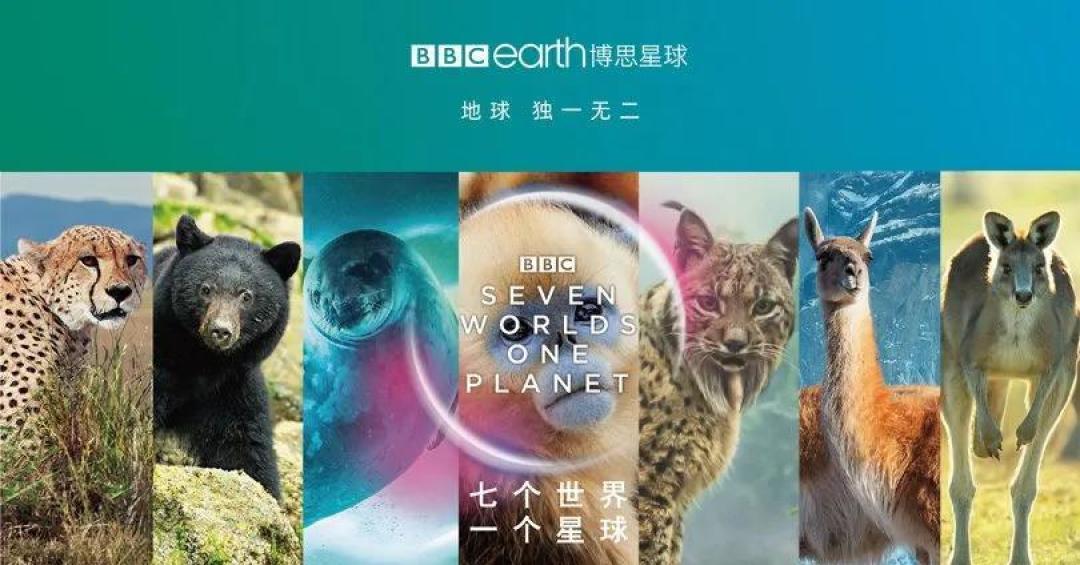 自然、历史、科技、艺术、英语，全都有！我给大家精选了8部最好的科普纪录片，B站免费看（附链接）