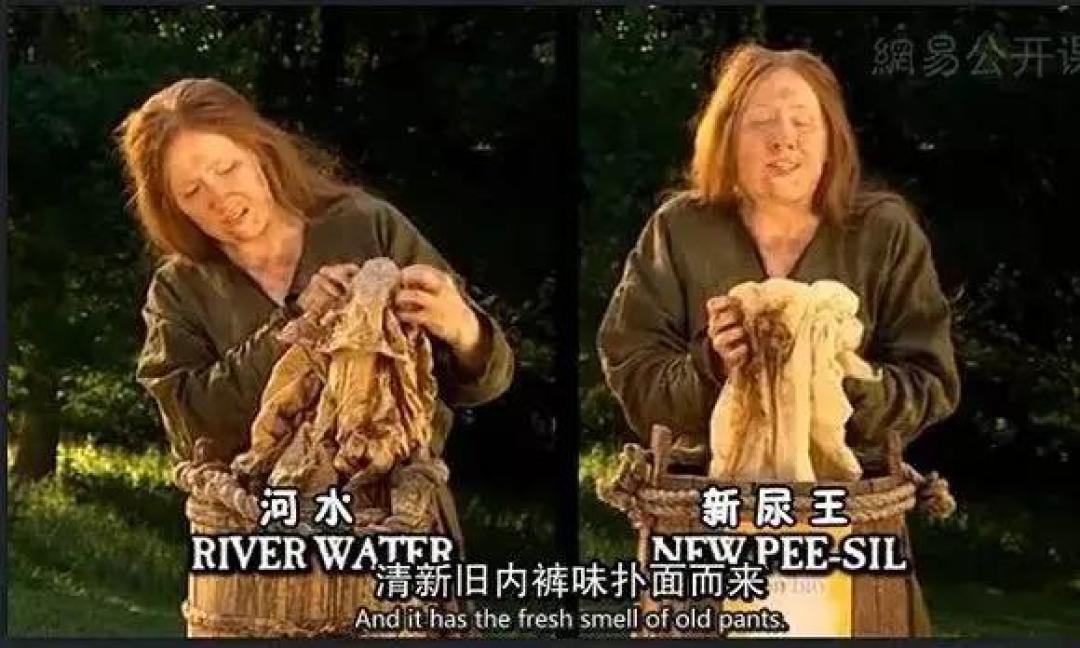 自然、历史、科技、艺术、英语，全都有！我给大家精选了8部最好的科普纪录片，B站免费看（附链接）