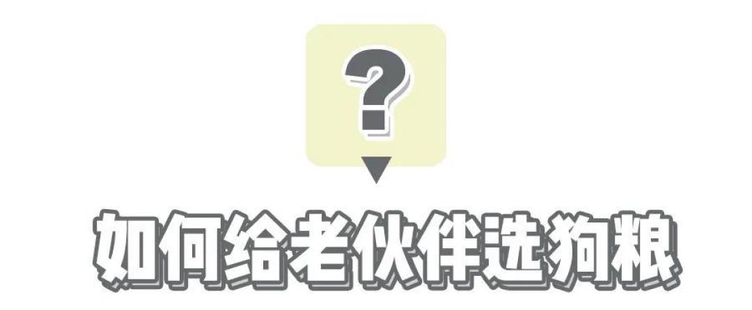 【老年犬选粮攻略】老可爱们该换粮啦?热门进口老年犬粮表现如何秀?!