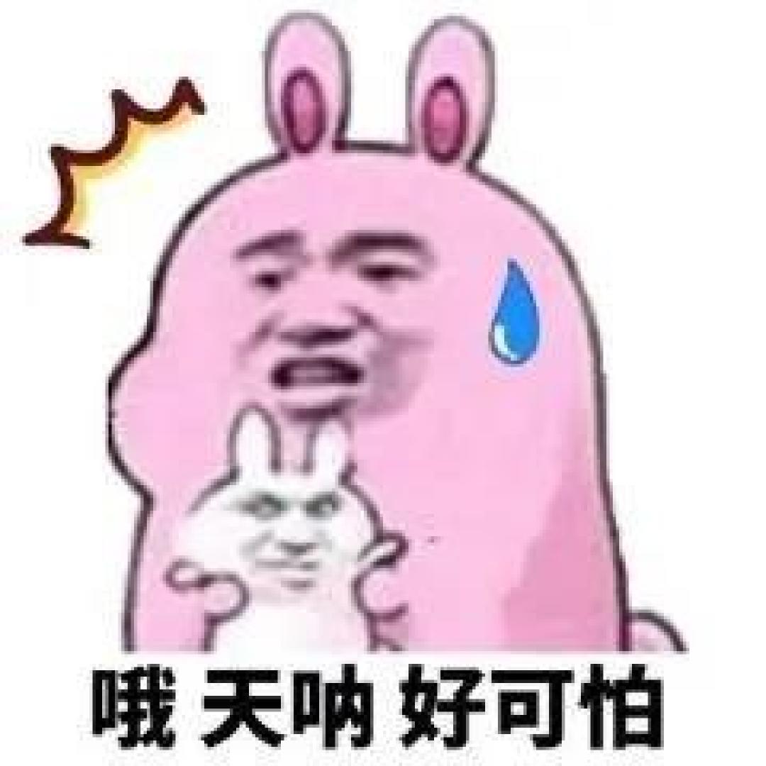 【老年犬选粮攻略】老可爱们该换粮啦?热门进口老年犬粮表现如何秀?!