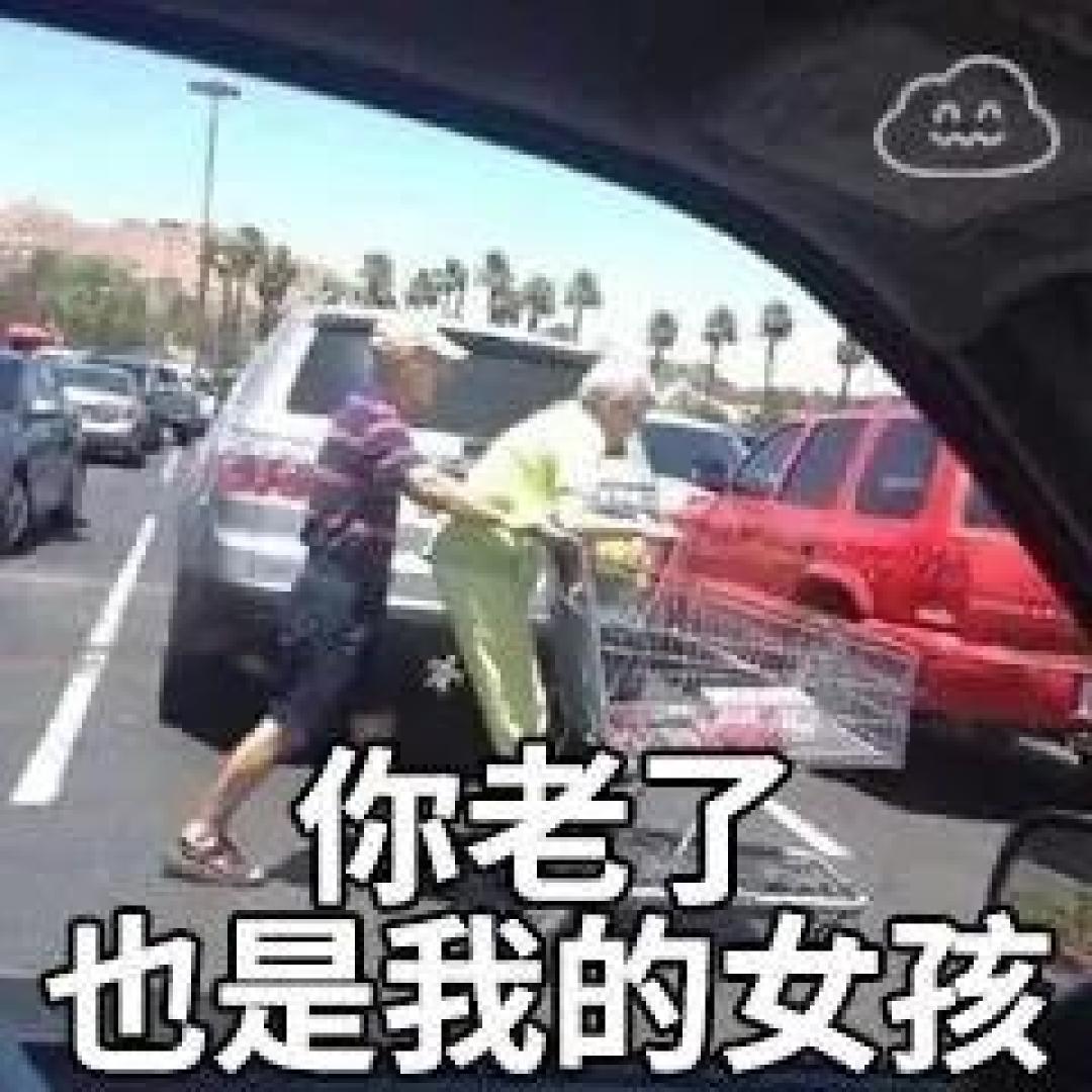 【老年犬选粮攻略】老可爱们该换粮啦?热门进口老年犬粮表现如何秀?!