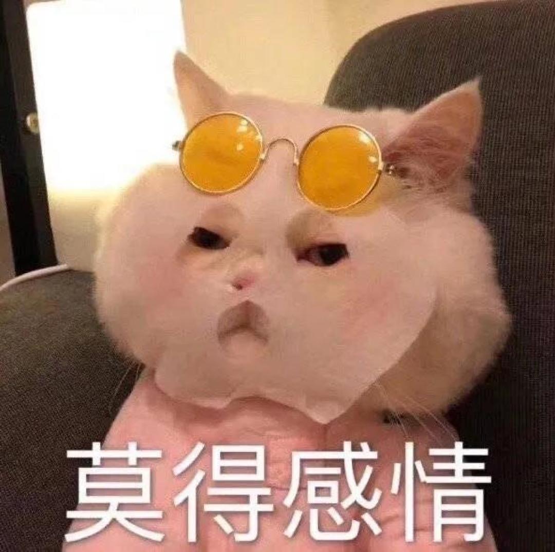 【老年犬选粮攻略】老可爱们该换粮啦?热门进口老年犬粮表现如何秀?!