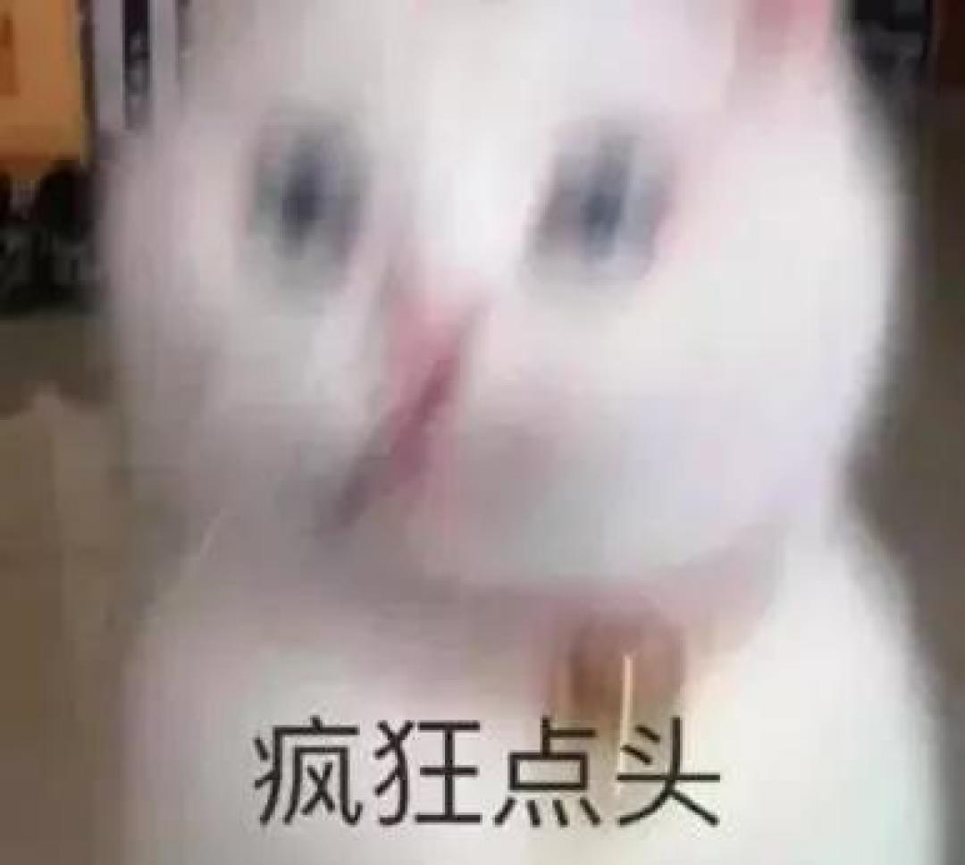 【老年犬选粮攻略】老可爱们该换粮啦?热门进口老年犬粮表现如何秀?!