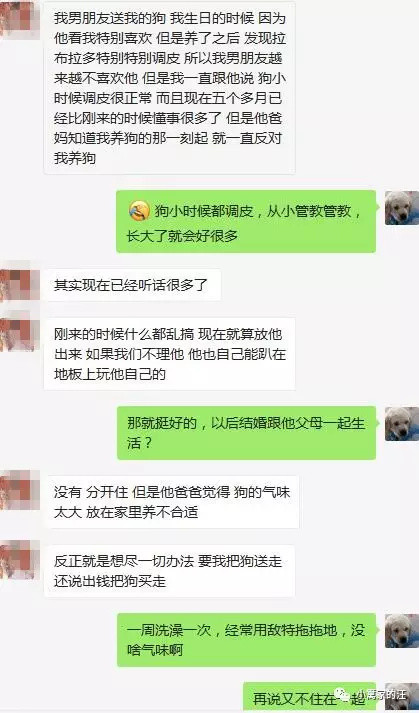 要结婚还是要养狗？找人算过命，狗跟男友相克，这都是什么鬼？