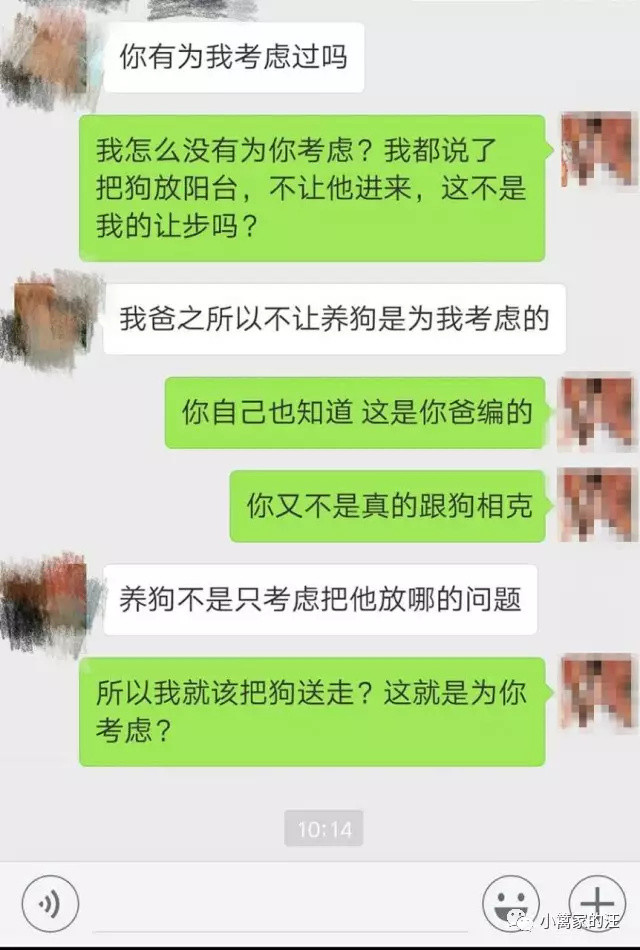 要结婚还是要养狗？找人算过命，狗跟男友相克，这都是什么鬼？