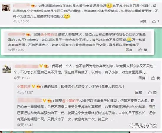 要结婚还是要养狗？找人算过命，狗跟男友相克，这都是什么鬼？